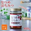 【ふるさと納税】なつめはちみつ 400g【1470780】