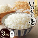 【ふるさと納税】【令和7年度産】いのちの壱3kg(白米) 希少品種をお届けします。【1641925】