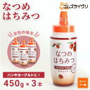 【ふるさと納税】なつめはちみつ 450g×3本【1642044】