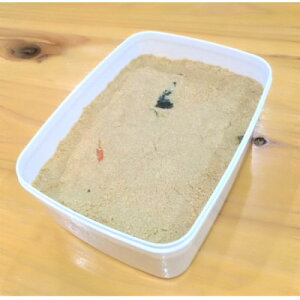 【ふるさと納税】発酵【熟成】ぬか床 『その日から美味しくぬか漬けができる、かんたんぬか漬けマニュアル付き』【配送不可地域:離島】【1677869】