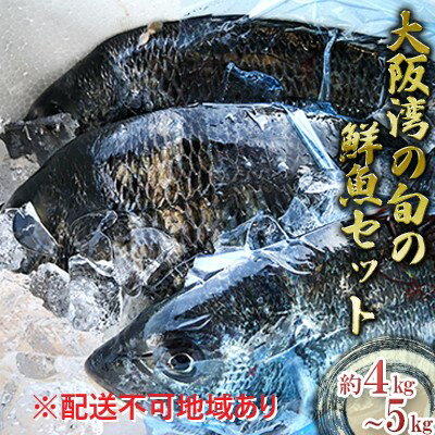 【ふるさと納税】大阪湾　朝どれのおさかなセット　【魚介類・鰆・ハマチ・鱸・黒鯛等・朝採れ】