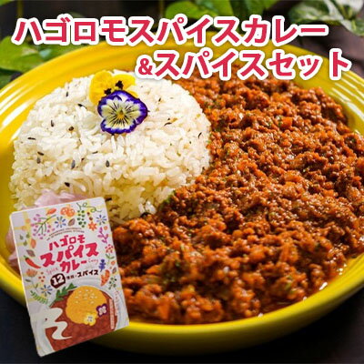 【ふるさと納税】管理栄養士をめざす学生が考案した「ハゴロモスパイスカレー」レトルトパック＆オリジナルスパイス　【 加工食品 惣菜 レトルト 調味料 キーマ風カレー 厳選 カロリー控えめ ヘルシーカレー ミックスパイス レシピカード付き 】