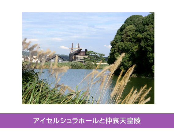 【ふるさと納税】No.034 ガイドと巡るウォーク「藤井寺歴史探訪コース」 ／ 体験 探検 観光 昼食付 土産付 送料無料 大阪府のサムネイル