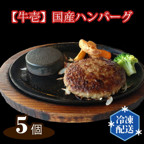 67位! 口コミ数「0件」評価「0」No.146 【牛壱】国産ハンバーグ5個（約750g） ／ 手ごね 手作り 惣菜 送料無料 大阪府