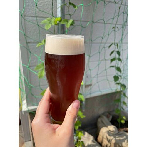 【ふるさと納税】No.172 河内乃えーる　4本セット ／ 酒 クラフトビール 飲み比べ 送料無料 大阪府