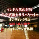 楽天大阪府藤井寺市【ふるさと納税】No.173 究極の健康法！インド式ラジオ体操オンラインクラス ／ 体験チケット エクササイズ インド古武術 カラリパヤットゥ 送料無料 大阪府