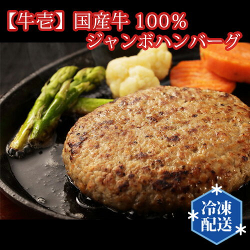 54位! 口コミ数「0件」評価「0」No.196 【牛壱】国産牛100％ジャンボハンバーグ3個　300g×3個 ／ 挽肉 自家製タレ 送料無料 大阪府