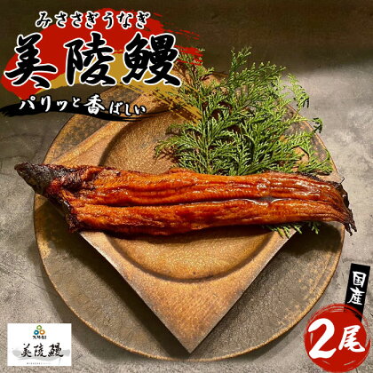 No.211 大阪府藤井寺市産　美陵鰻 ／ うなぎ ウナギ 蒲焼 送料無料 大阪府