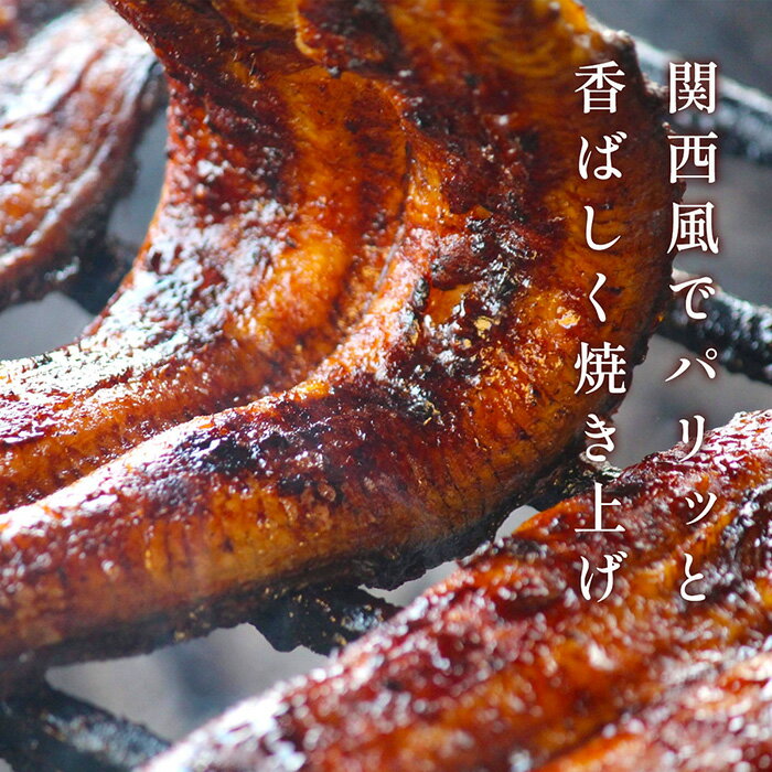 大阪府藤井寺市の画像2