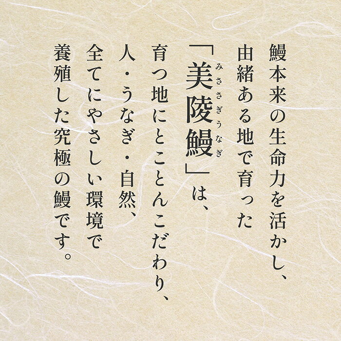 大阪府藤井寺市の画像3