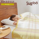 【ふるさと納税】No.356 電気掛敷毛布 / 寝具 暖かい 冬 冷え予防 洗える 洗濯可能 送料無料 大阪府