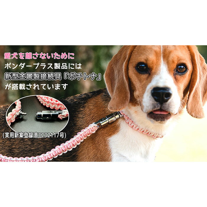 大阪府藤井寺市の画像3