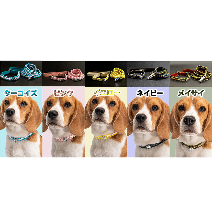 大阪府藤井寺市の画像2