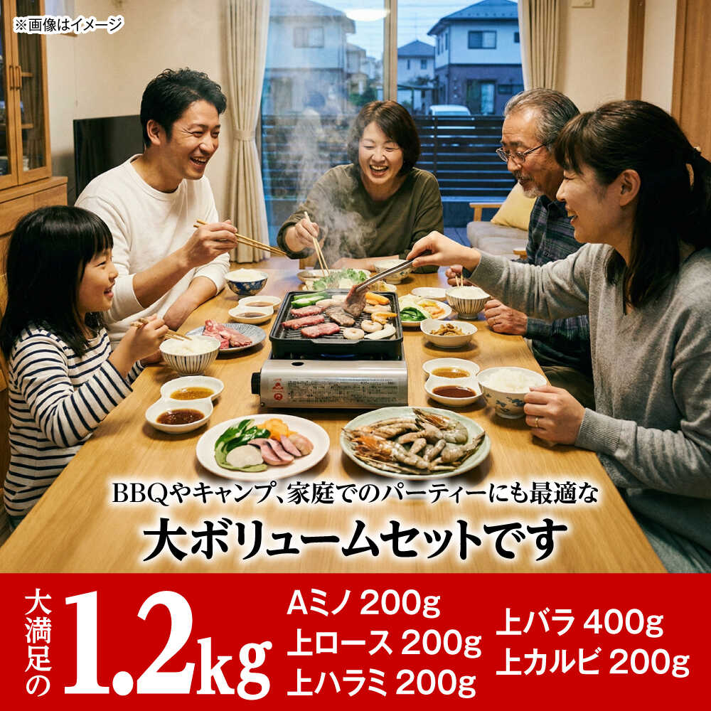 【ふるさと納税】焼肉セット 味付き 極 1.2kg / 肉 牛肉 牛 焼肉 焼き肉 やきにく BBQ バーベキュー キャンプ アウトドア セット 詰め合わせ 食べ比べ 国産 冷凍 ミノ ホルモン ロース ハラミ カルビ バラ バラ肉 上カルビ 約 1kg / 大阪府藤井寺市/株式会社 松屋[BLCD002]