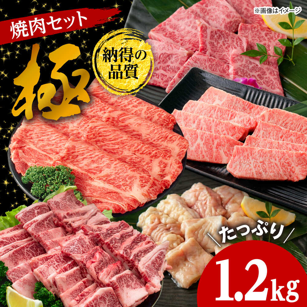 焼肉セット 極 1.2kg / 肉 牛肉 牛 焼肉 焼き肉 やきにく BBQ バーベキュー キャンプ アウトドア セット 詰め合わせ 食べ比べ 国産 冷凍 小分け ミノ ホルモン ロース ハラミ カルビ バラ バラ肉 上カルビ 約 1kg / 大阪府藤井寺市/株式会社 松屋[BLCD002]