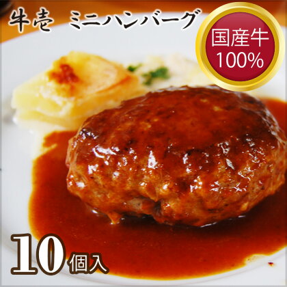 No.198 【牛壱】国産牛100％ミニハンバーグ10個　75g×10個 ／ 挽肉 自家製タレ 送料無料 大阪府