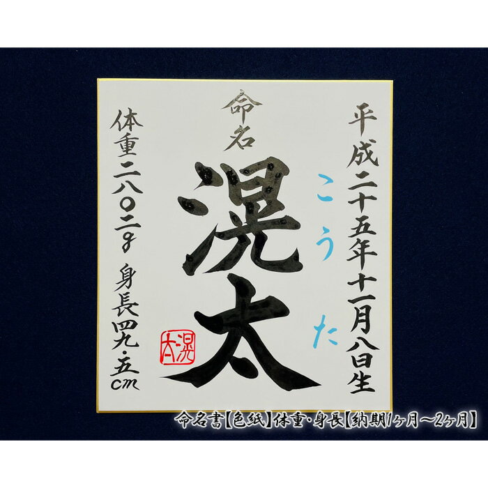 【ふるさと納税】No.234 命名書【色紙】体重・身長【納期1ヶ月~2ヶ月】 / 書道家 名前 お子様 生年月日 オリジナル 送料無料 大阪府