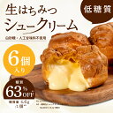 【ふるさと納税】自社養蜂園の生はちみつ使用!低糖質 生はちみつシュークリーム6個入 〈低糖質なのに満足できる自慢のシュークリーム〉【 シュークリーム 人工甘味料不使用 無添加 低糖質 濃厚カスタードクリーム ふんわりもっちり生地 スイーツ デザート 送料無料 】