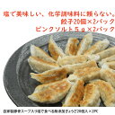 【ふるさと納税】自家製豚骨スープ入り塩で食べる無添加ぎょうざ20個入×2PC 【 本格 餃子 餃子 贈答 ギフト ご家庭 夜ごはん おつまみ おかず 中華 無添...