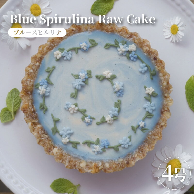 ローケーキ ブルースピルリナ [ ローケーキ デザート スイーツ グルメ 洋菓子 おやつ 贈り物 ]
