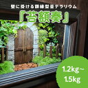 【ふるさと納税】壁に掛ける額縁型苔テラリウム『苔額奏』【 額縁型 美術作品 苔 癒し 苔テラリウム インテリア 】