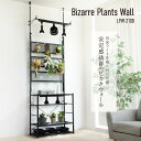 【ふるさと納税】ビザールプランツウォールラック (LPW-2100-BK) - 植物にとって最適な環境を作れる【 棚 植物 植物棚 多肉棚 植物を乗せる台 高さ 調整可能 通気性 DIY ガーデニング インテリア 生活雑貨 雑貨 送料無料】