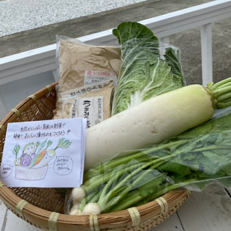 野菜がおいしく漬かる糠漬けセット 100サイズ箱