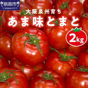 【ふるさと納税】大阪泉州育ち あま味とまと 2kg 野菜トマト 高糖度 フルーツトマト 2キロ 予約 夏野菜