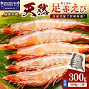 【ふるさと納税】大阪府泉南市産 天然足赤エビ 300g(4)