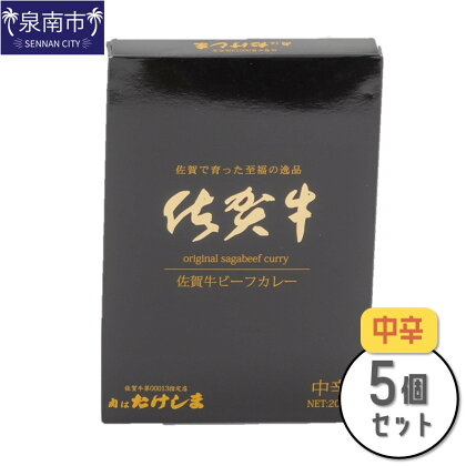 肉はたけしま 佐賀牛ビーフカレー 5個セット カレー レトルトカレー