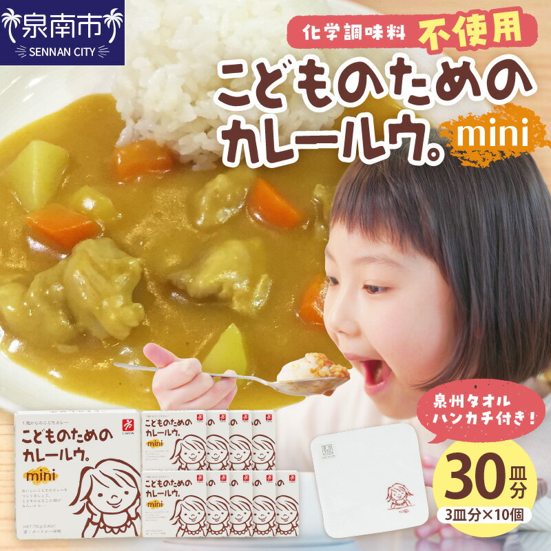 【ふるさと納税】こどものためのカレールウセット カレー かれー カレールー 子ども 子供 10個 詰め合わせ ハンカチ 子供用 泉南市 送料無料のサムネイル