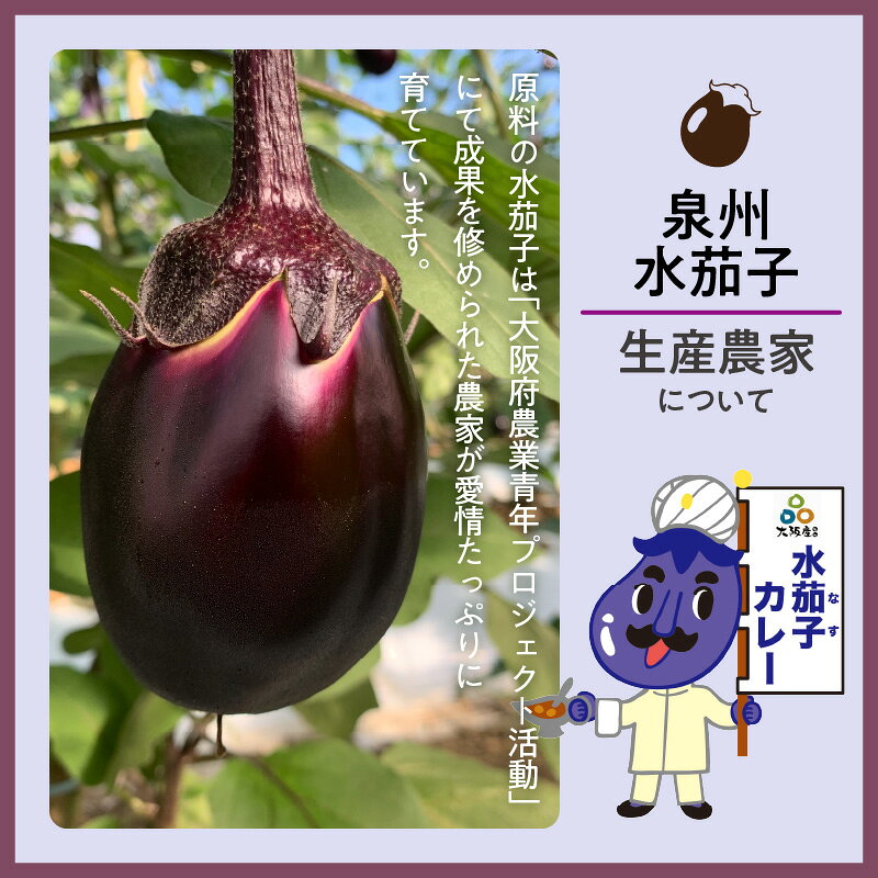 【ふるさと納税】選べる数量！大阪産（おおさかもん）泉州水なすカレー 200g入 3個 4個 6個 8個 10個 12個 f272281-sennan-10000199 大阪府泉南市 サンプル画像3