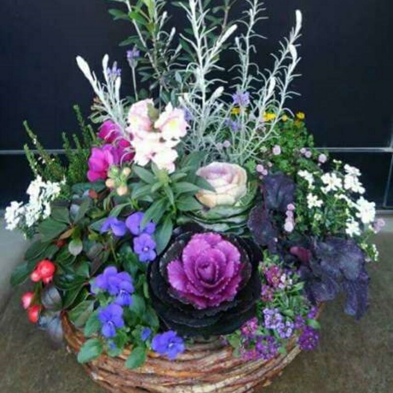 大阪府泉南市の画像2