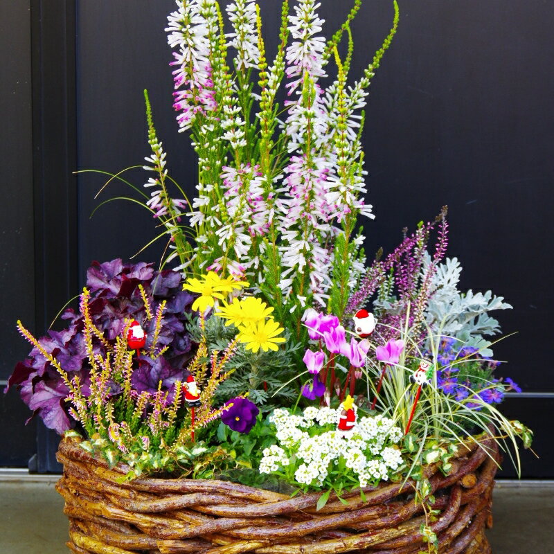 大阪府泉南市の画像3