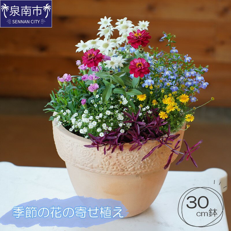 季節の花の寄せ植え 30cm 寄せ植え 植物 生花 花 お花 はな 鉢植え 季節 贈答 鑑賞用