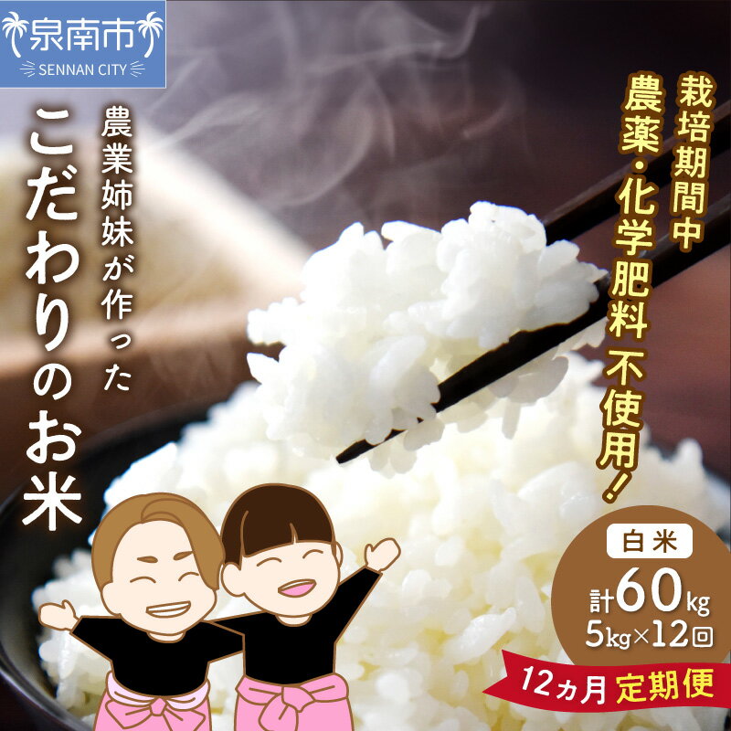 【ふるさと納税】農業姉妹がこだわって栽培！こだわりのお米 白米5kg 1年定期便 定期便 米 こめ 5キロ
