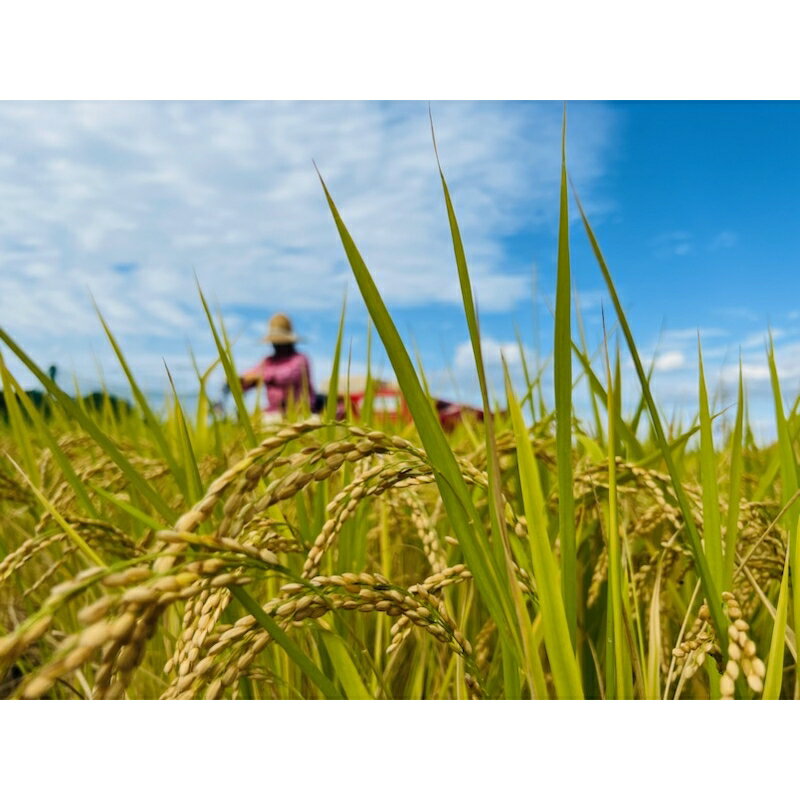 大阪府泉南市の画像3