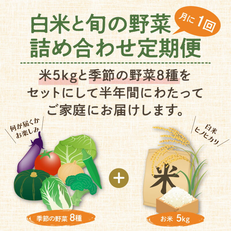 【ふるさと納税】農業姉妹がこだわって栽培！ 白米5kgと旬の野菜詰め合わせ8種 1年定期便 野菜 米 旬 季節 詰め合わせ セット