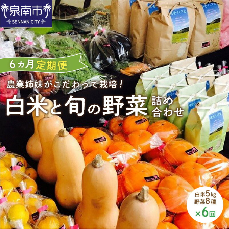 【ふるさと納税】農業姉妹がこだわって栽培! 白米5kgと旬の野菜詰め合わせ8種 半年コース 定期便