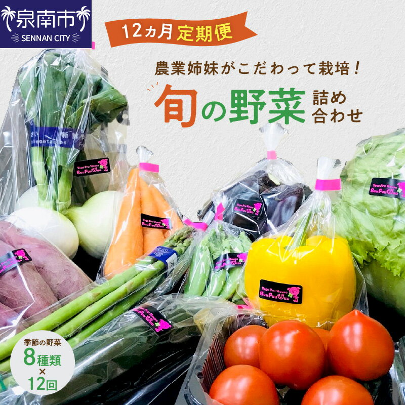 【ふるさと納税】農業姉妹がこだわって栽培！旬の野菜詰め合わせ8種 1年定期便 野菜 旬 季節 詰め合わ..