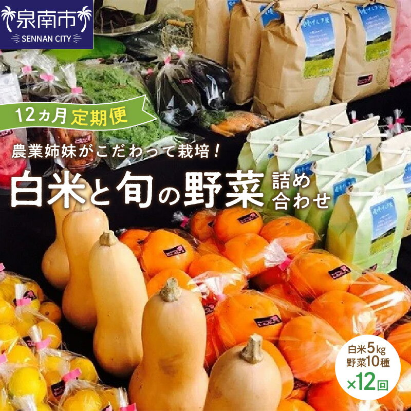 7位! 口コミ数「0件」評価「0」農業姉妹がこだわって栽培！ 白米5kgと旬の野菜10種 1年定期便 定期便 毎月 野菜 米 旬 季節 詰め合わせ セット