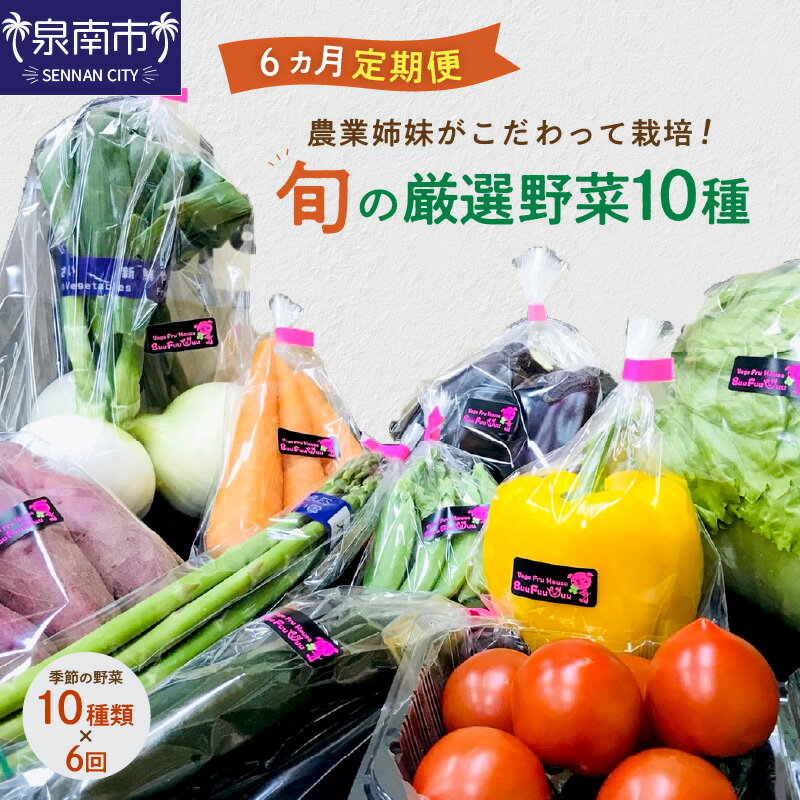 49位! 口コミ数「0件」評価「0」農業姉妹がこだわって栽培！ 旬の厳選野菜10種 半年定期便 定期便 野菜 旬 季節 詰め合わせ セット