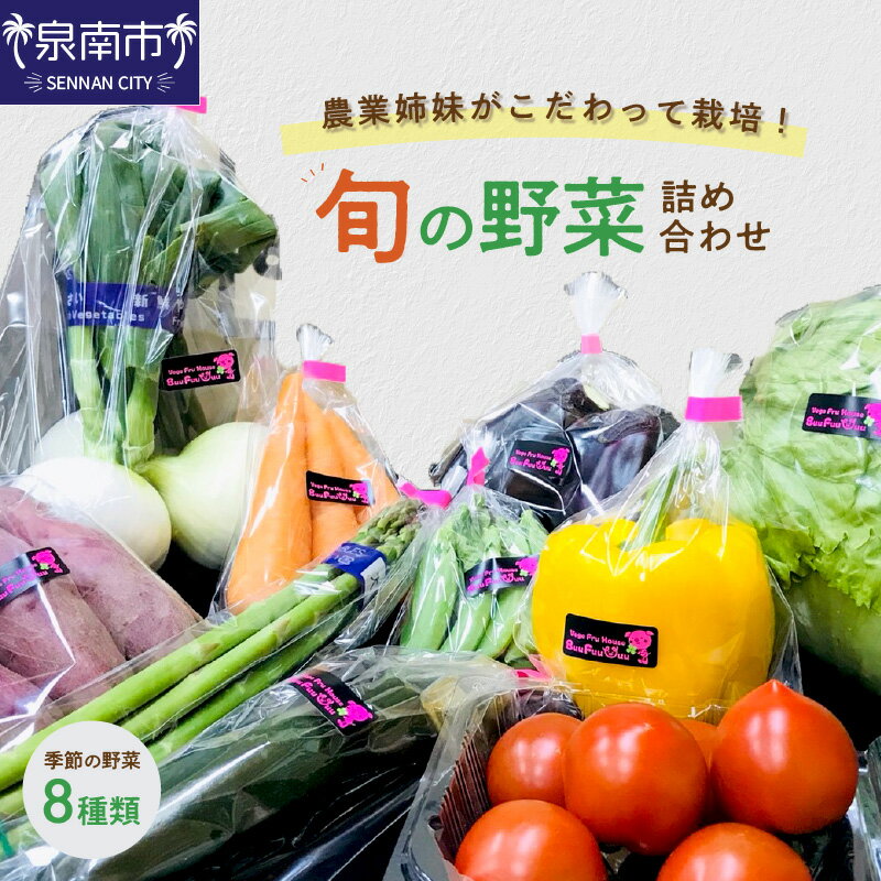 【ふるさと納税】農業姉妹がこだわって栽培！旬の野菜詰め合わせ8種類 野菜 旬 季節 詰め合わせ セット