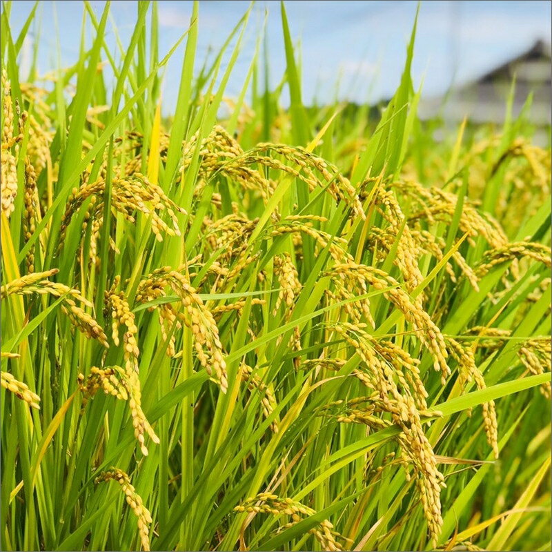 大阪府泉南市の画像2