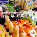 24位! 口コミ数「0件」評価「0」農業姉妹がこだわって栽培！ 白米5Kgと旬の野菜詰め合わせ8種 野菜 米 旬 季節 詰め合わせ セット ひのひかり 白米