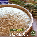 農業姉妹がこだわって栽培！白米5kg 1年定期便 定期便 米 こめ 5キロ ヒノヒカリ
