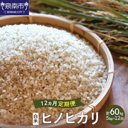 農業姉妹がこだわって栽培！白米5kg 1年定期便 定期便 米 こめ 5キロ ヒノヒカリ