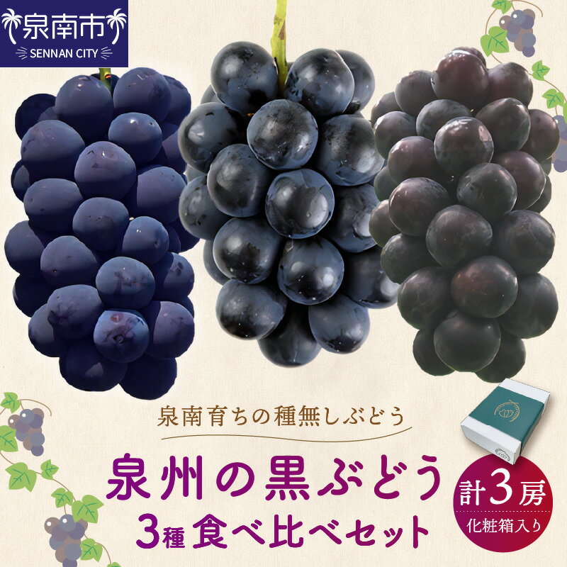 泉州ぶどう 泉州の黒ぶどう3種食べ比べセット ブドウ フルーツ 果物 期間限定 数量限定 国産 ふるさと納税 ぶどう