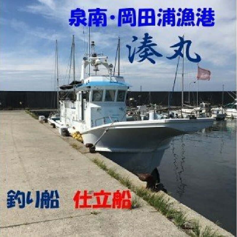 【ふるさと納税】【泉南・岡田浦漁港】釣り船 湊丸 貸切船 8