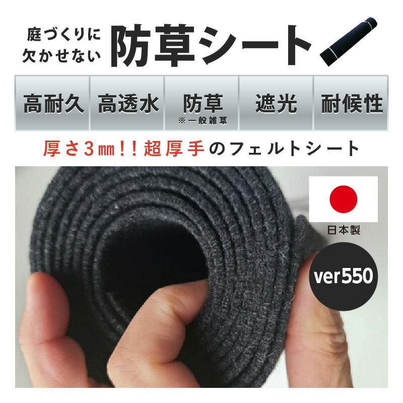 大阪府泉南市の画像2